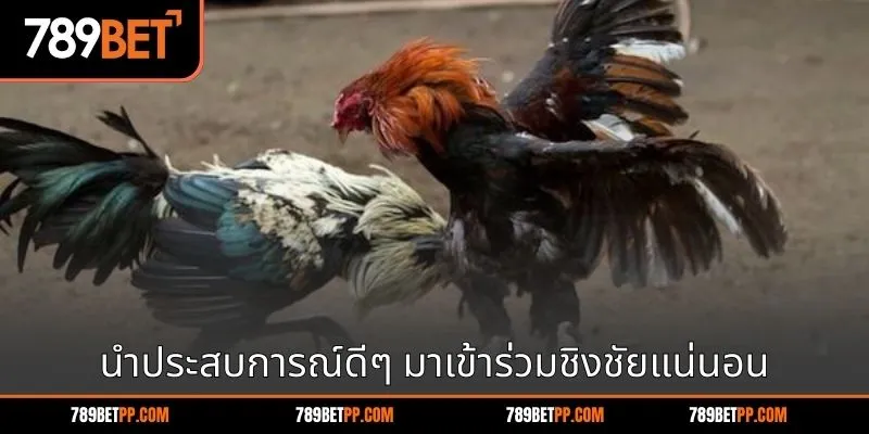 นำประสบการณ์ที่ดีมาปรับใช้เพื่อเข้าร่วมอย่างมั่นใจและมั่นใจว่าจะชนะ